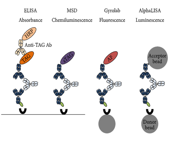 新利luck18免疫原性研究四大平台