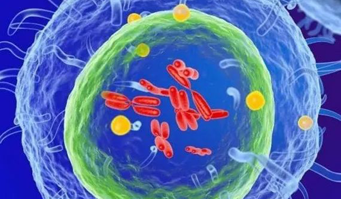  新利luck18助力 | 信诺维抗肿瘤1类新药XNW14010获批临床.png