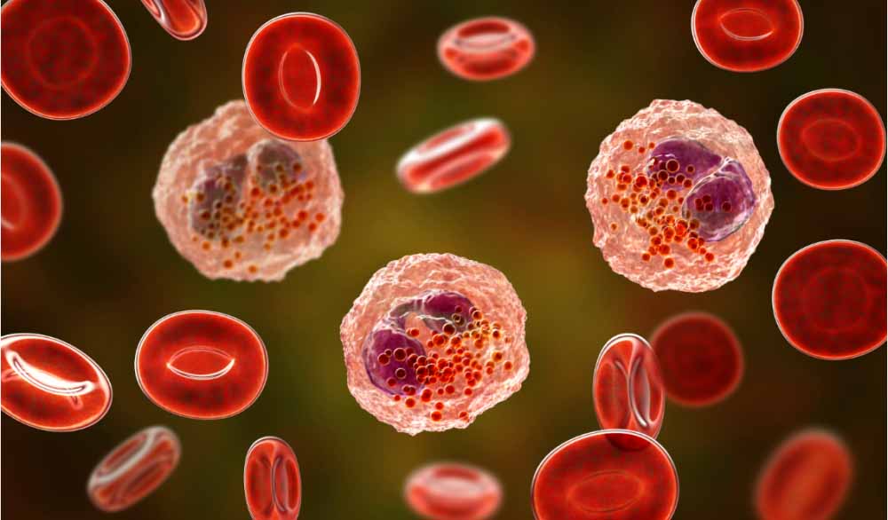 新利luck18助力 | 全球首创！宇耀生物STAT3双磷酸化抑制剂YY201获批临床.jpg