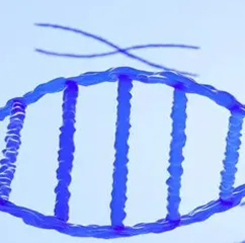 卵白表达与纯化效劳