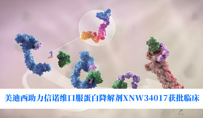 新利luck18助力相助同伴信诺维口服卵白降解剂XNW34017获批临床