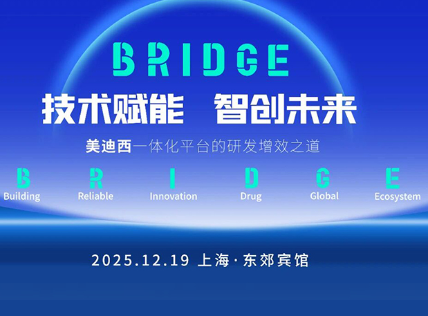BRIDGE | 新利luck18“手艺赋能，，，，，智创未来”巡回钻研会